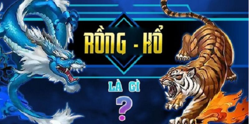 Rồng Hổ Cách chơi Rồng Hổ